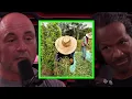 Download Lagu The History of Cocaine and Why It's Illegal with Dr. Carl Hart