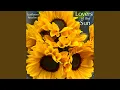 Download Lagu Sunflower Paradise (feat. Paulo Coelho, Pedro Franco \u0026 Mark Lehmann)