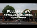 Pullman WA - Driving Downtown 4K