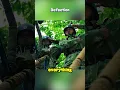 Download Lagu A free South Korea is something North Korean soldiers yearn for#movie  #fyp  #foryou