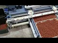 Download Lagu volledig geautomatiseerde baitroller van www.bait-tools.com