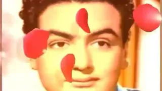 محمد فوزى ٠٠ لغة الزهور ٠٠ بجودة صوت عاليه 