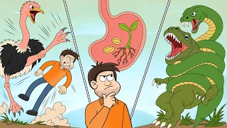 Would Happen to Your Body If You Got Kicked By a Full Grown Ostrich? +2 others