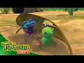 Miss Spider Mr Mocking-Bug Odd Bug Fellows - Ep 35