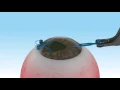 APX 200 User Guide