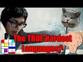 Esoteric Programming Languages Challenging the Norm
