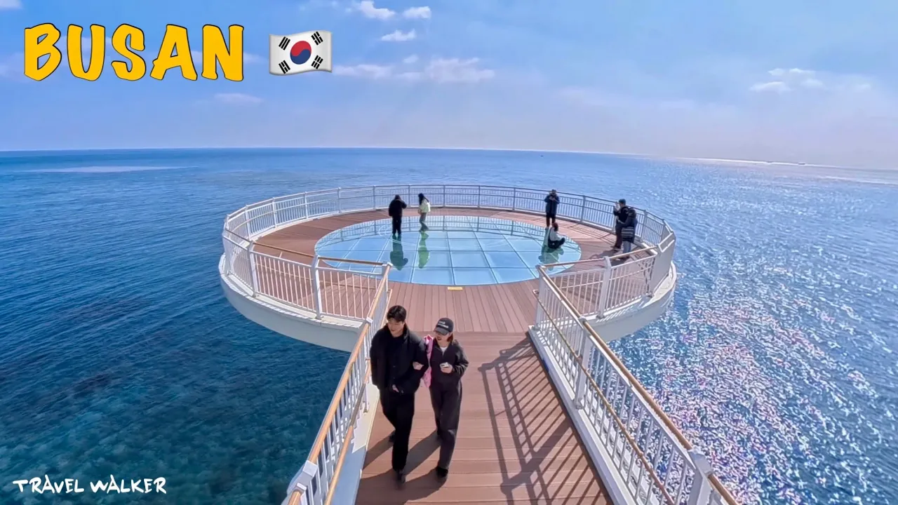 관련 영상 썸네일