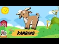 Download Lagu 20 Nama Hewan Ternak | Belajar Mengenal nama nama hewan ternak, sapi, ayam, puyuh, kambing, domba