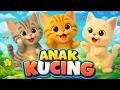 Lagu LAGU ANAK 🇮🇩 ANAK KUCING MEONG MEONG - KITTEN SONG - LAGU ANAK BALITA VIRAL