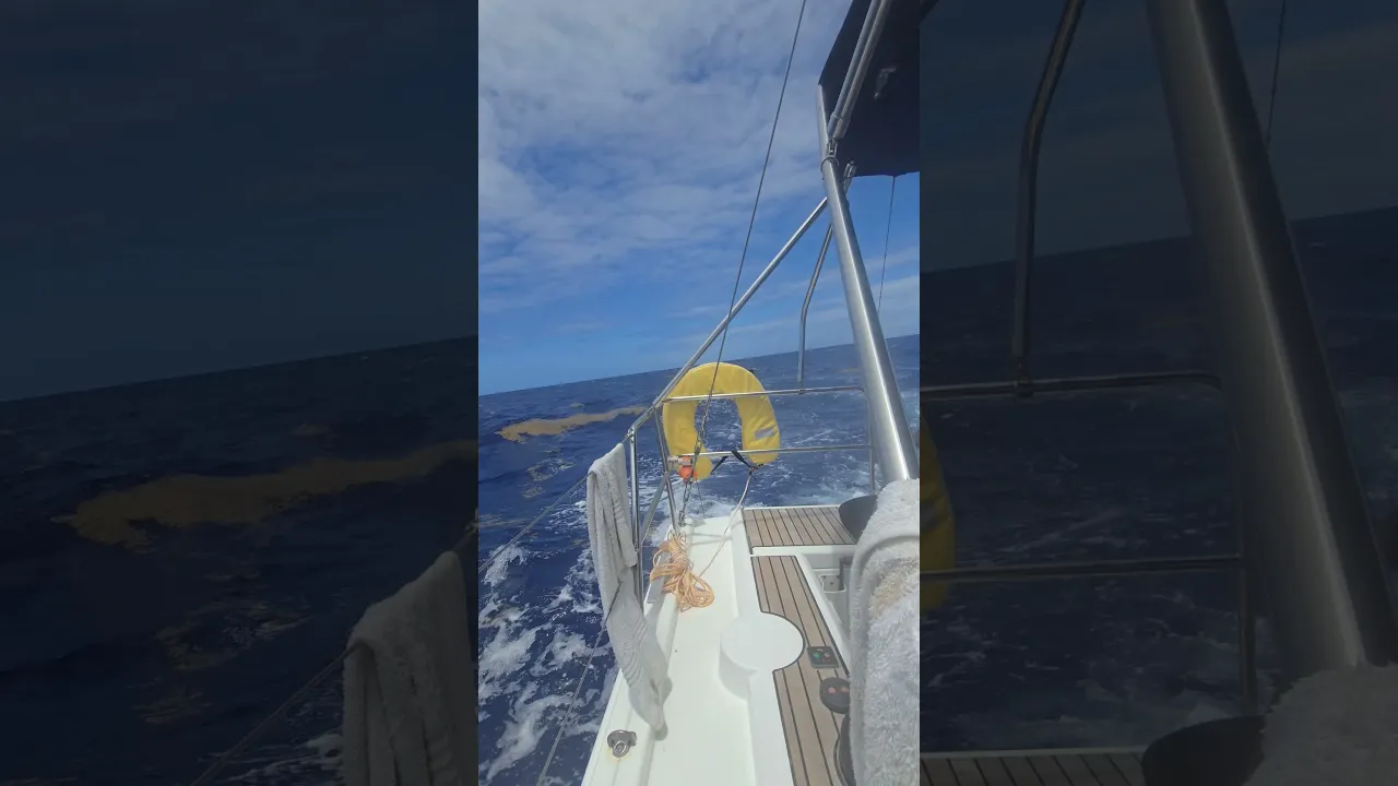 living it up on the Atlantic Ocean