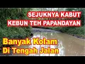 INDAHNYA PERKEBUNAN TEH PTPN 8 PAPANDAYAN GARUT