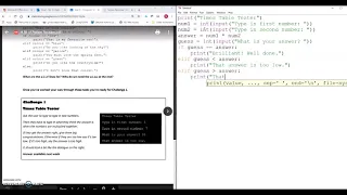 Year 9 Python Challenge 1