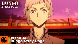 10 años de Bungo Stray Dogs 🖤🕵️‍♂️