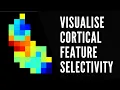 Matlab Tutorial Visualise cortical feature selectivity