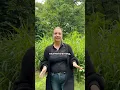 Op 29 oktober start een nieuwe groep met de ETW-opleiding. | CCB