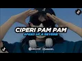Download Lagu DJ Ciperi Pam Pam Speed Up Reverb