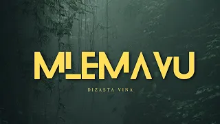 dizasta vina mlemavu
