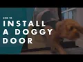 Download Lagu How To Install A Portable Doggy Door - Bunnings Warehouse