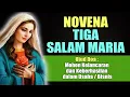 Download Lagu NOVENA TIGA SALAM MARIA Mohon Kelancaran dan Keberhasilan Usaha | Doa Katolik