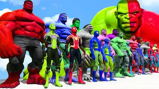 Hulk & Spider Fight | Hulk vs Red Hulk vs Blue Hulk vs Grey Hulk vs Spider-Man