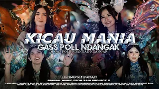 dj kicau mania gass pol ndangak di gas poll ndangak remix viral tiktok zain project z