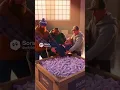 Minnesota Men Toss Tim Walz Look-Alike into a Box of Tampons