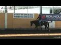 Gara di reining pattern