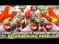 Lagu SIDAK GUDANGNYA BURUNG KENARI IMPOR DI PASAR BURUNG PRAMUKA TAHUN 2026 