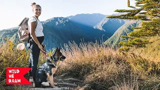 Mornings In The Mountains