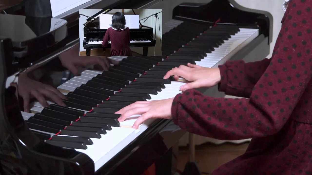 桑田佳祐 白い恋人達 ピアノ s Musian