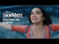 Waiting On A Wish - Rachel Zegle (From \
