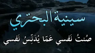 سينية البحتري في وصف إيوان كسرى   صنت نفسي عما يدنس نفسي دندنها