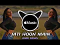 Download Lagu jaati hoon main jaldi hai kya || jaati hoon main jaldi hai kya dj