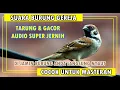 Download Lagu Suara Burung Gereja Tarung Cocok Untuk Masteran Durasi Terpanjang 4 Jam Nonstop