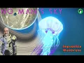 Impossible Membrane No Man s Sky
