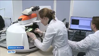 В Томске научились определять виды депрессии по крови и слюне