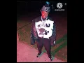 Big30 - Blrrrddd Pt. 2 (Slowed)