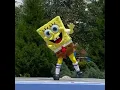 Lagu Spongebob Show