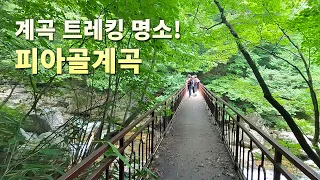 👀 트레킹하기 좋은 계곡을 찾으세요? 📢 4km 피아골계곡 최고네요! 난이도 상중하 코스 선택 가능 썸네일