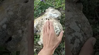 اشاره الضفدع والهديه وراءه 