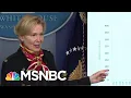 New White House Model Projects 100k - 200k Deaths From Coronavirus MSNBC