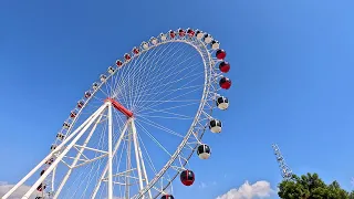                        دندنها