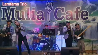 Download Lamtama Trio - Cintakki holan tu Ho - Boru sasada || Official Live Video || MP3