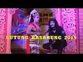 Download Lagu Lutung Kasarung 2019 Toprak MUSTIKO BUDOYO Di Mayangrejo NIRWANA Audio Cah TeamLo Punya