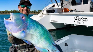 Spearfishing a BIG Black Spot Tusk Fish (Sailing Popao) S2 Ep.13