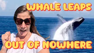 WHAT A WEEK WHALES Sydney Boat Show Yellow Patch Great Keppel Island and Crabbing Island Head Creek