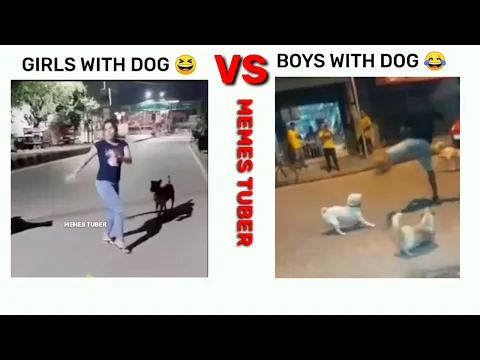 Download MP3 Girl With Dog VS Boys With Dog 😂💯😆💯😅 #attitude #viral #montage