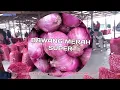 Download Lagu info harga bawang merah dan sayur dari pasar sayur alahan panjang,kab.solok 