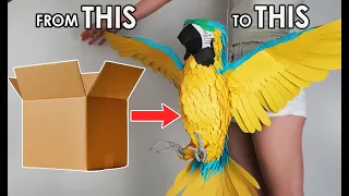 Download How I Turned a Cardboard Box into a Life-size Parrot MP3