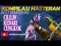 Download Lagu MASTERAN MURAI BATU || CILILIN || KENARI || CUCAK CUNGKOK || SUARA JERNIH #MASTERAN #muraibatu